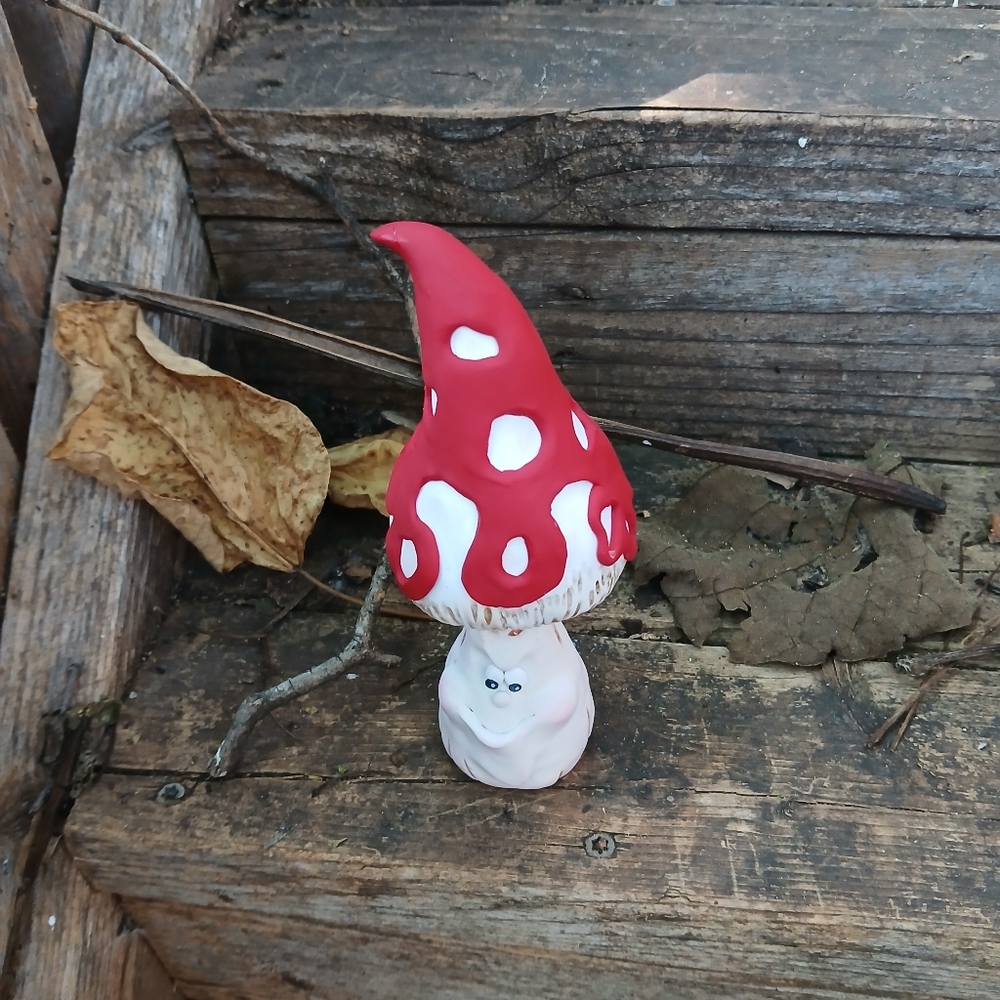 ❤️🤍 Cone Mushroom 🍄🐞 Face Funny 🦋🌺 - Picture 6 of 7